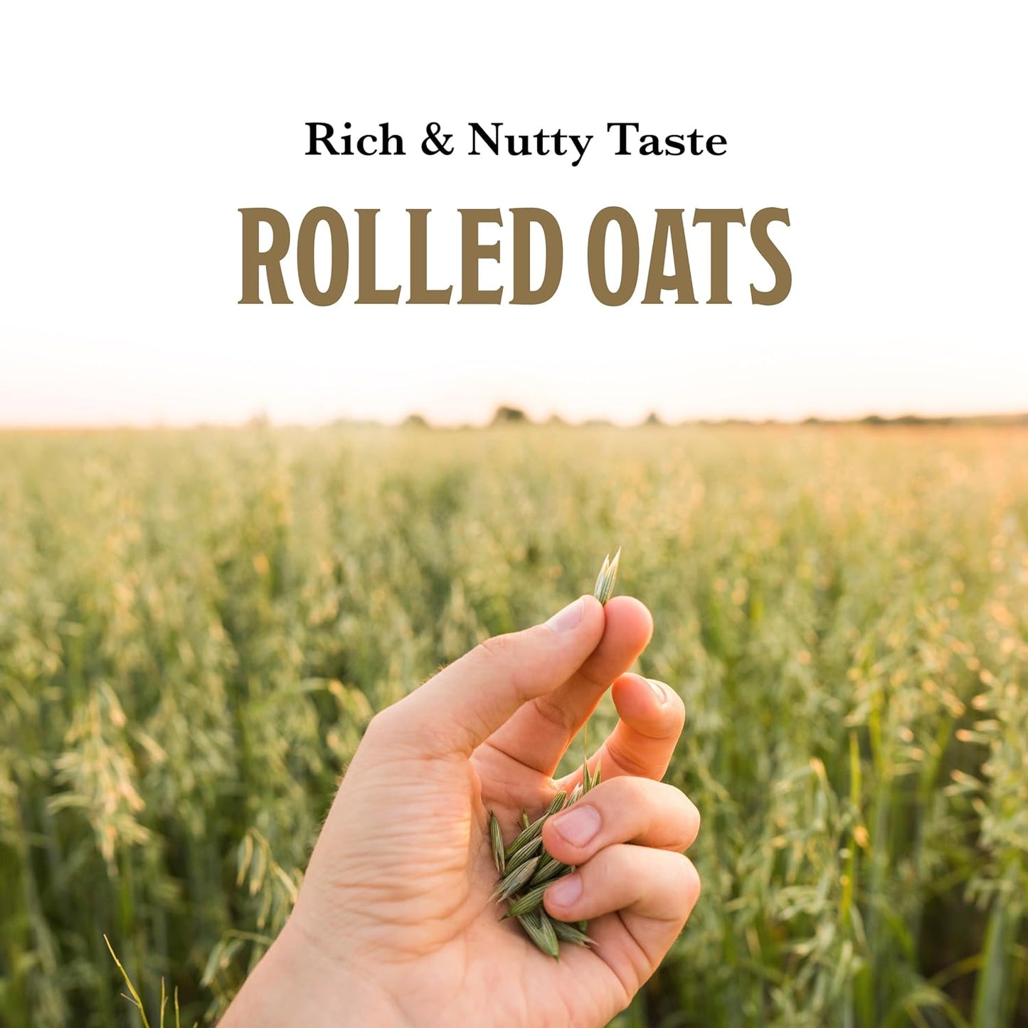 McCann's_Irish_Oatmeal,_Quick_Cooking_Rolled_Oats,_16_Ounce