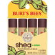 Shea + Aloe - 4 Count (Pack of 1)