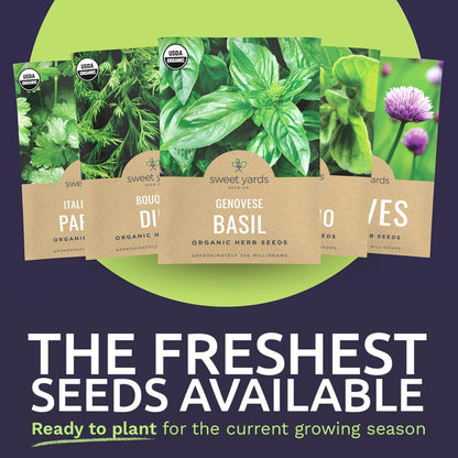 Organic_Herb_Seeds_Variety_Pack_-_10_Individual_Packs_-_2025_Season_-_Basil,_Cilantro,_Dill,_Thyme,_Parsley_and_More!_for_Indoor_&_Outdoor_Planting_(Non-GMO,_Certified_Organic)