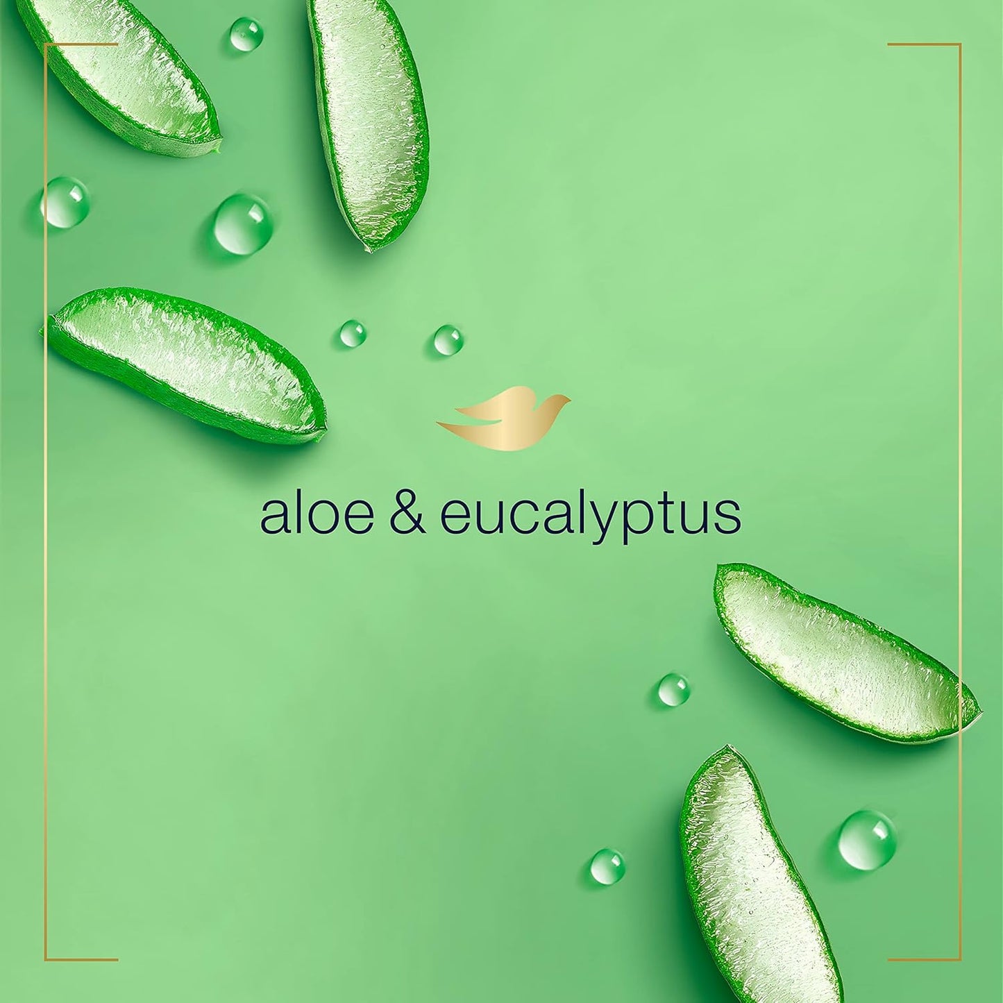 Dove_Foaming_Hand_Wash_4_Count_Aloe_&_Eucalyptus_Protects_Skin_from_Dryness,_More_Moisturizers_than_the_Leading_Ordinary_Hand_Soap,_10.1_oz