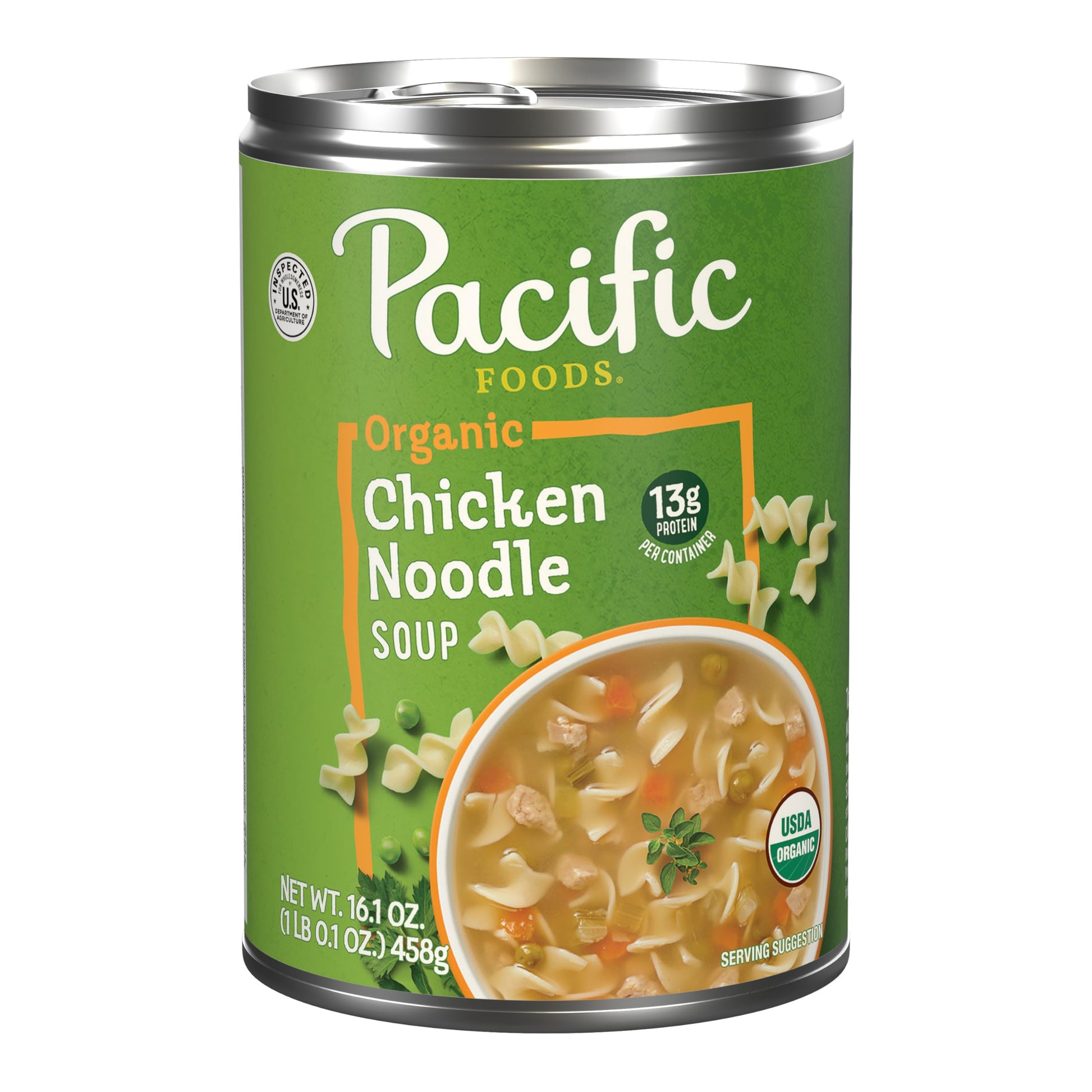 Chicken Noodle - 16.1 Ounce (Pack of 1)
