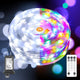 Cool White to Multicolor - 600LED