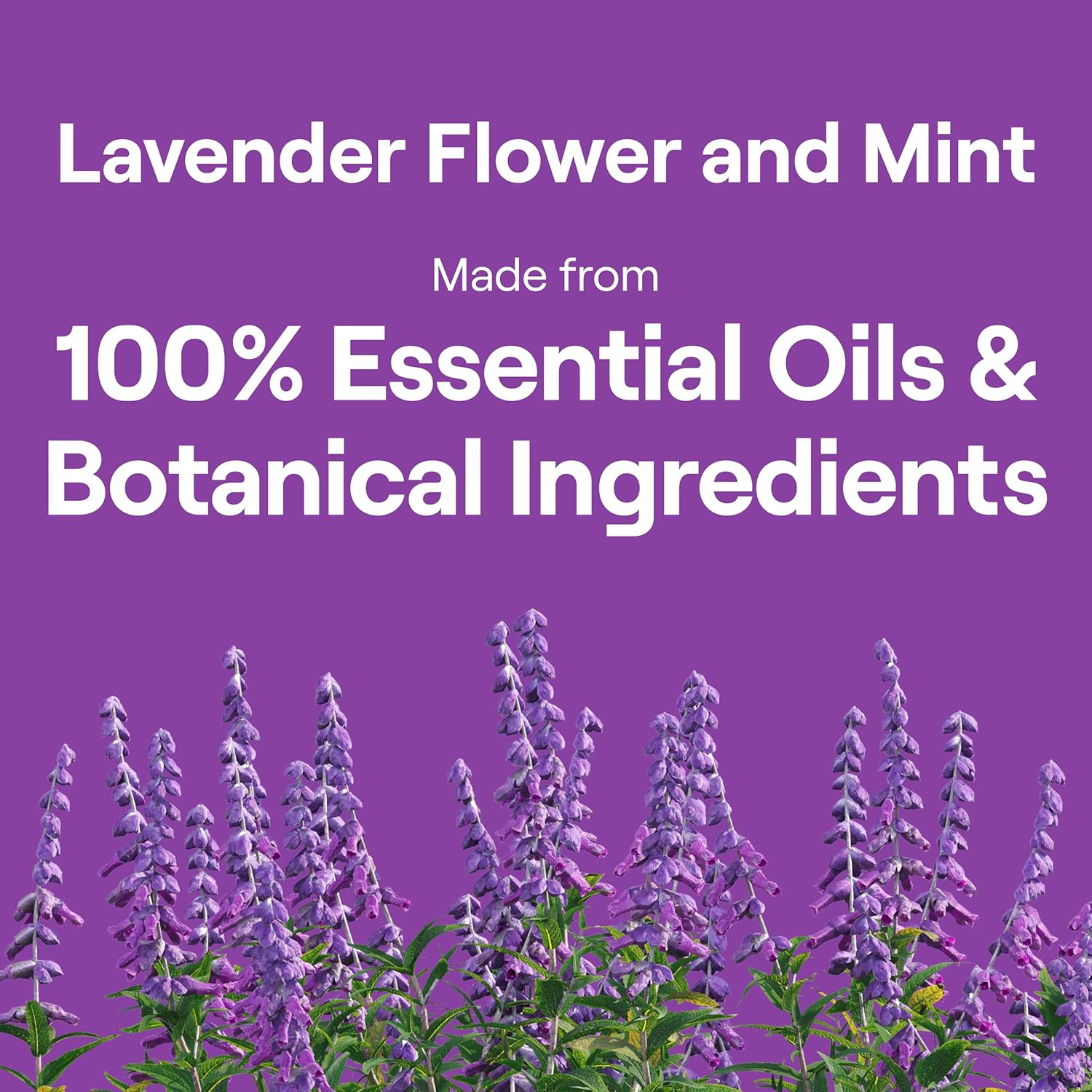 Seventh_Generation_Dish_Soap_Liquid_Lavender_Flower_&_Mint_Scent_Pack_of_6_Dishwashing_Soap_Dish_Detergent_Liquid_Soap_19_oz
