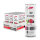 Fizz Free Raspberry Acai - 12 Fl Oz (Pack of 12)