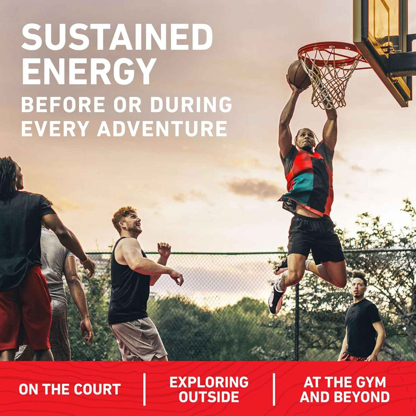 CLIF BAR - Energy Protein Bars - Made with Organic Oats - Energy Bars - Non-GMO