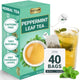 Peppermint - 40 Tea Bags (Pack of 1)