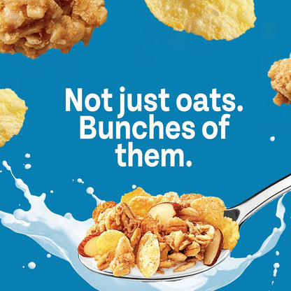 Honey_Bunches_of_Oats_with_Almonds_Breakfast_Cereal,_Honey_Cereal_with_Granola_Clusters_and_Sliced_Almonds,_Family_Size,_18_OZ_Box