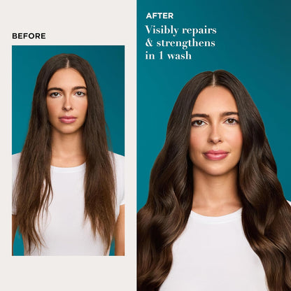 OGX_Renewing_+_Argan_Oil_of_Morocco_Shampoo_&_Conditioner_Set,_Damage_Repairing_Shampoo_&_Conditioner_Helps_Strengthen_&_Repair_Dry,_Damaged_Hair,_Sulfate-Free_Surfactants,_13_fl._Oz,_2_Pack