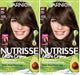 43 Dark Golden Brown (Cocoa Bean) - 1 Count (Pack of 2)