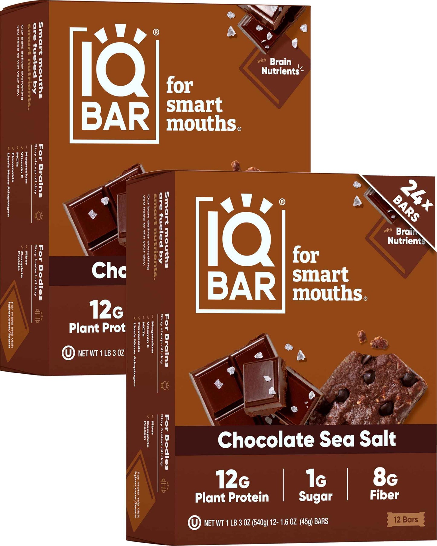 IQBAR Clean Plant Protein Bars - Keto, Vegan, High Fiber, Gluten and Dairy Free, Low Sugar Snack - Brain and Body Nutrients for Focus, Energy, Meal Replacement