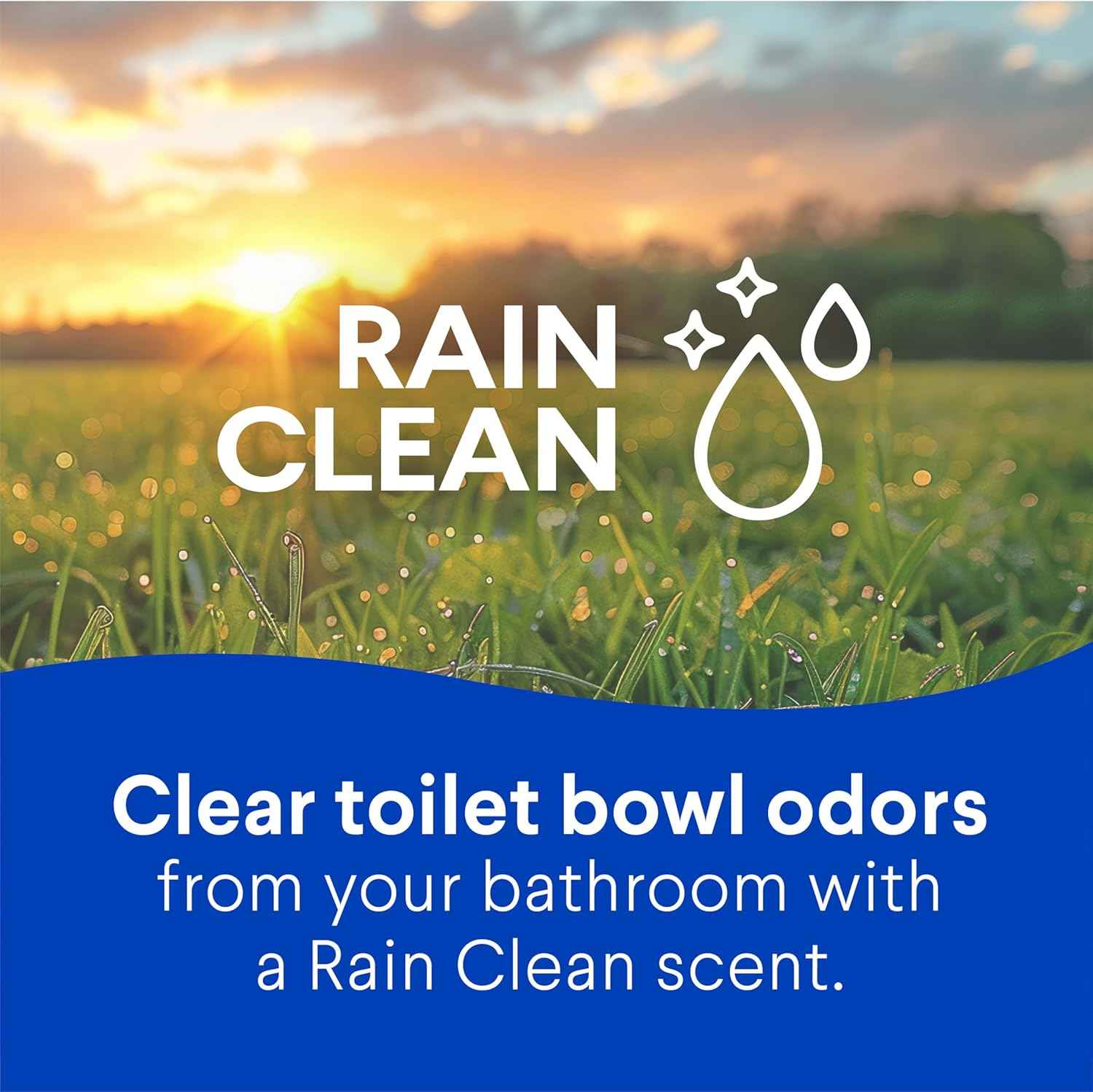 Clorox Toilet Bowl Cleaner Bleach, Rain Clean, 24 Fluid Ounces, Pack of 2 (Package May Vary)