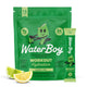 Lemon Lime (15ct)