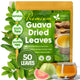 Guava - 50 Count