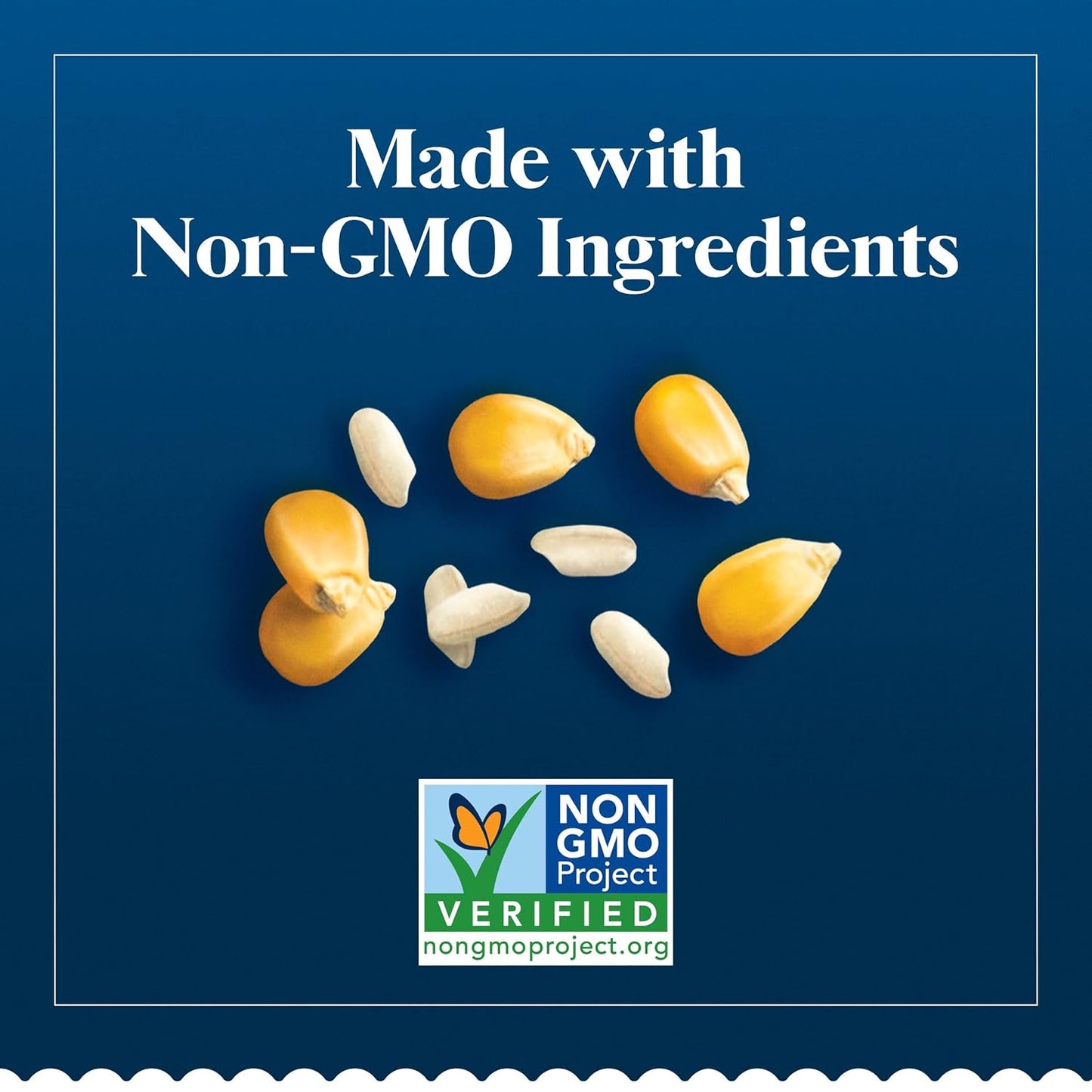 BARILLA_Gluten_Free_Elbows_Pasta,_12_Ounce_-_Non-GMO_Gluten_Free_Pasta_Made_with_2_Ingredients