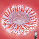 Red&White - 100LED/33FT
