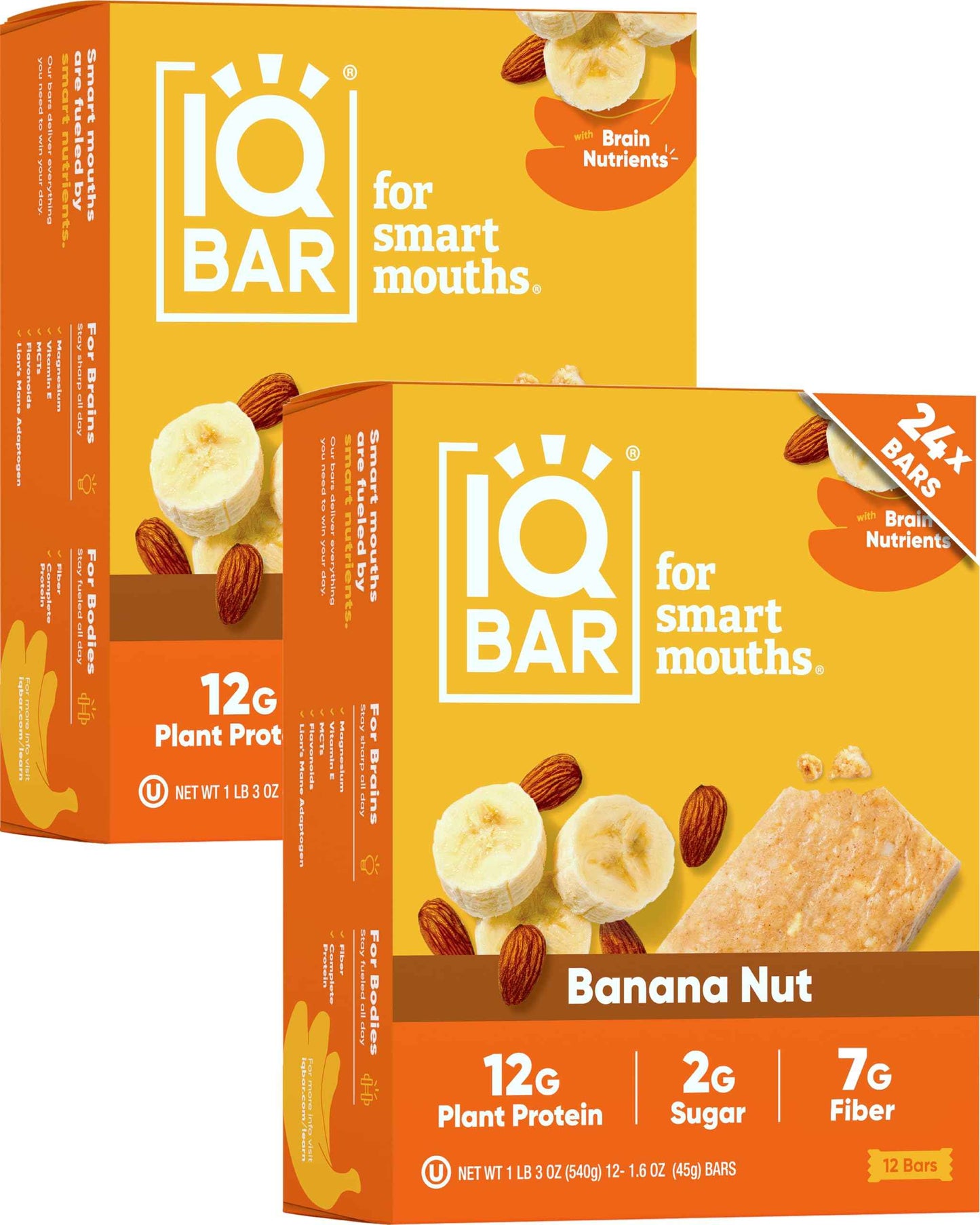 IQBAR Clean Plant Protein Bars - Keto, Vegan, High Fiber, Gluten and Dairy Free, Low Sugar Snack - Brain and Body Nutrients for Focus, Energy, Meal Replacement