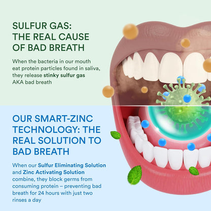 SmartMouth_Dry_Mouth_Zinc_Activated_Mouthwash_-_Dry_Mouth_Rinse_for_Immediate_Relief_&_Instant_Fresh_Breath_-_Optimal_Oral_Health_-_Sugar,_Gluten_&_Alcohol-Free_-_Soothing_Mint_-_16_fl_oz_-_2_Pack