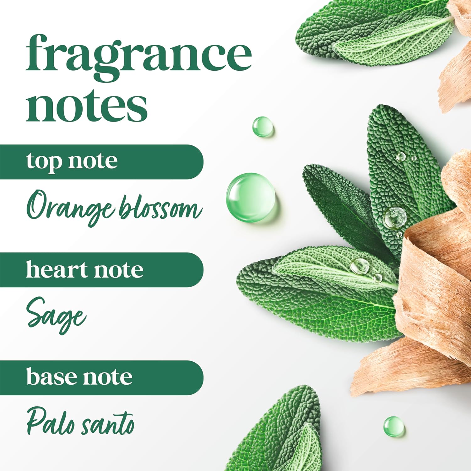 Dove_Dry_Spray_Palo_Santo_&_Sage_for_72-hour_sweat_and_odor_protection_Alcohol_Free_3.8_oz
