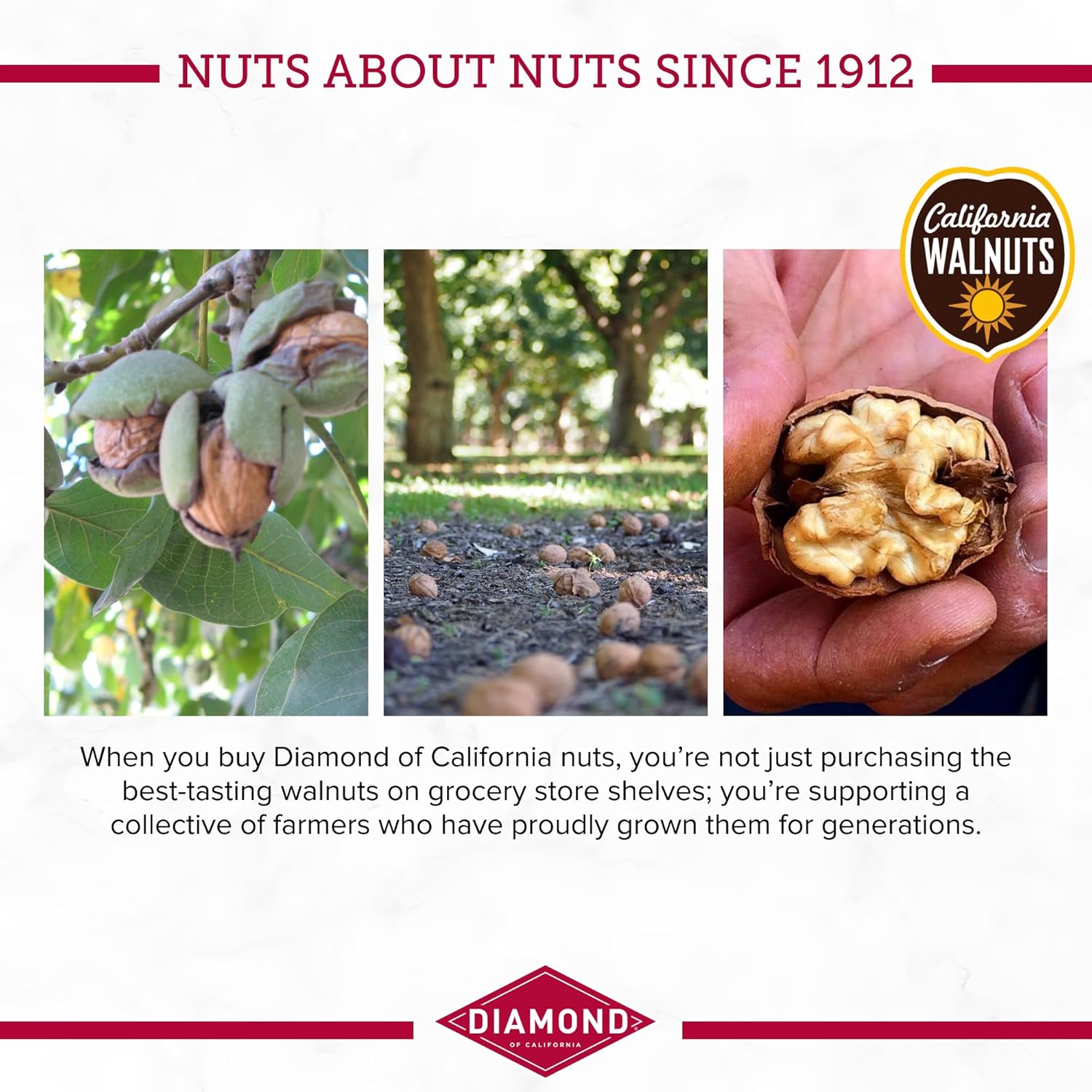 Diamond_of_California_Pumpkin_Pie_Spice_Walnuts_4_oz