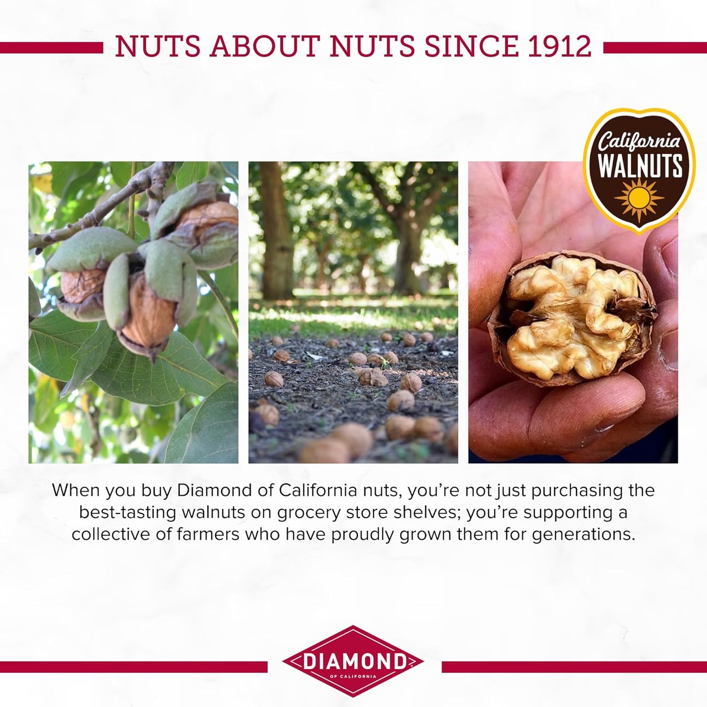 Diamond_of_California_Chopped_Walnuts,_2.25_oz,_1_Count