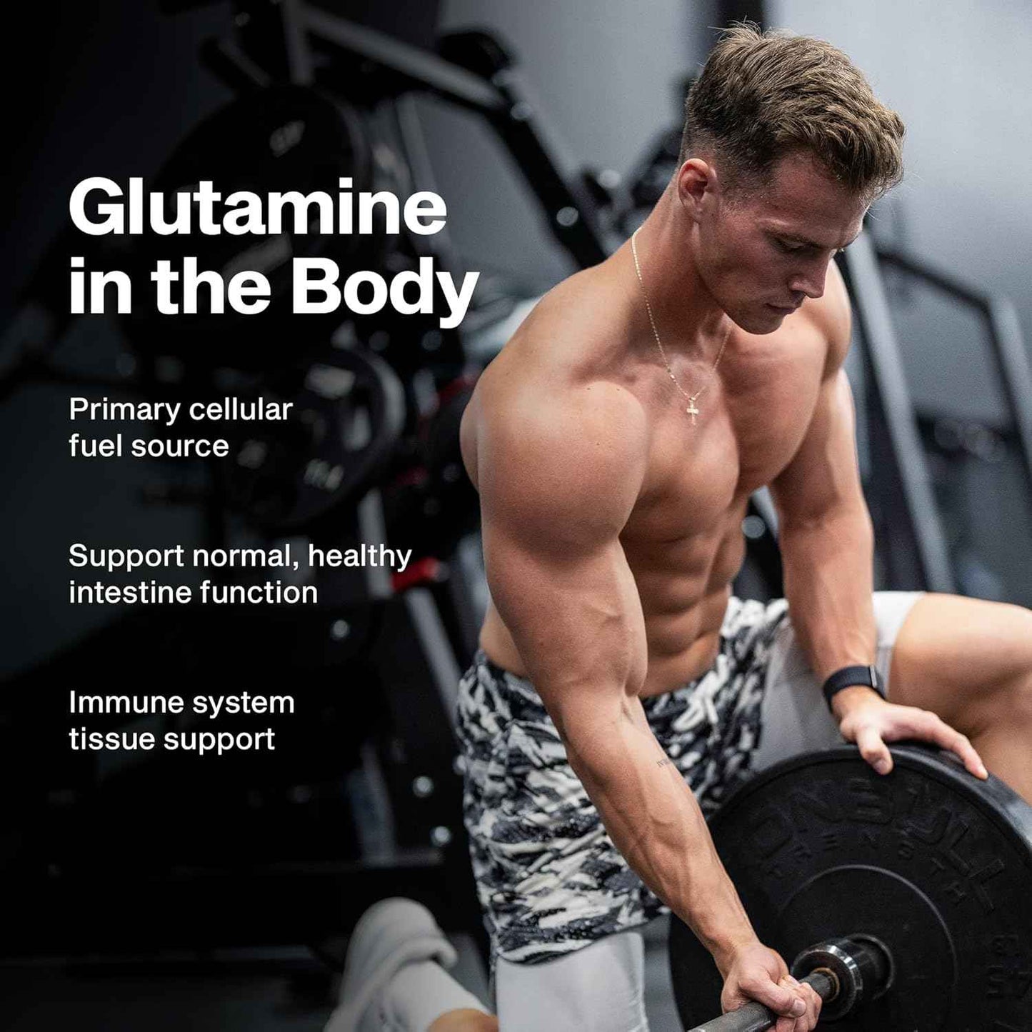MuscleTech Glutamine Powder | 100% Pure L Glutamine Powder | Post Workout Recovery Drink | L-Glutamine Powder for Men & Women | Muscle Recovery | Unflavored (60 Servings)