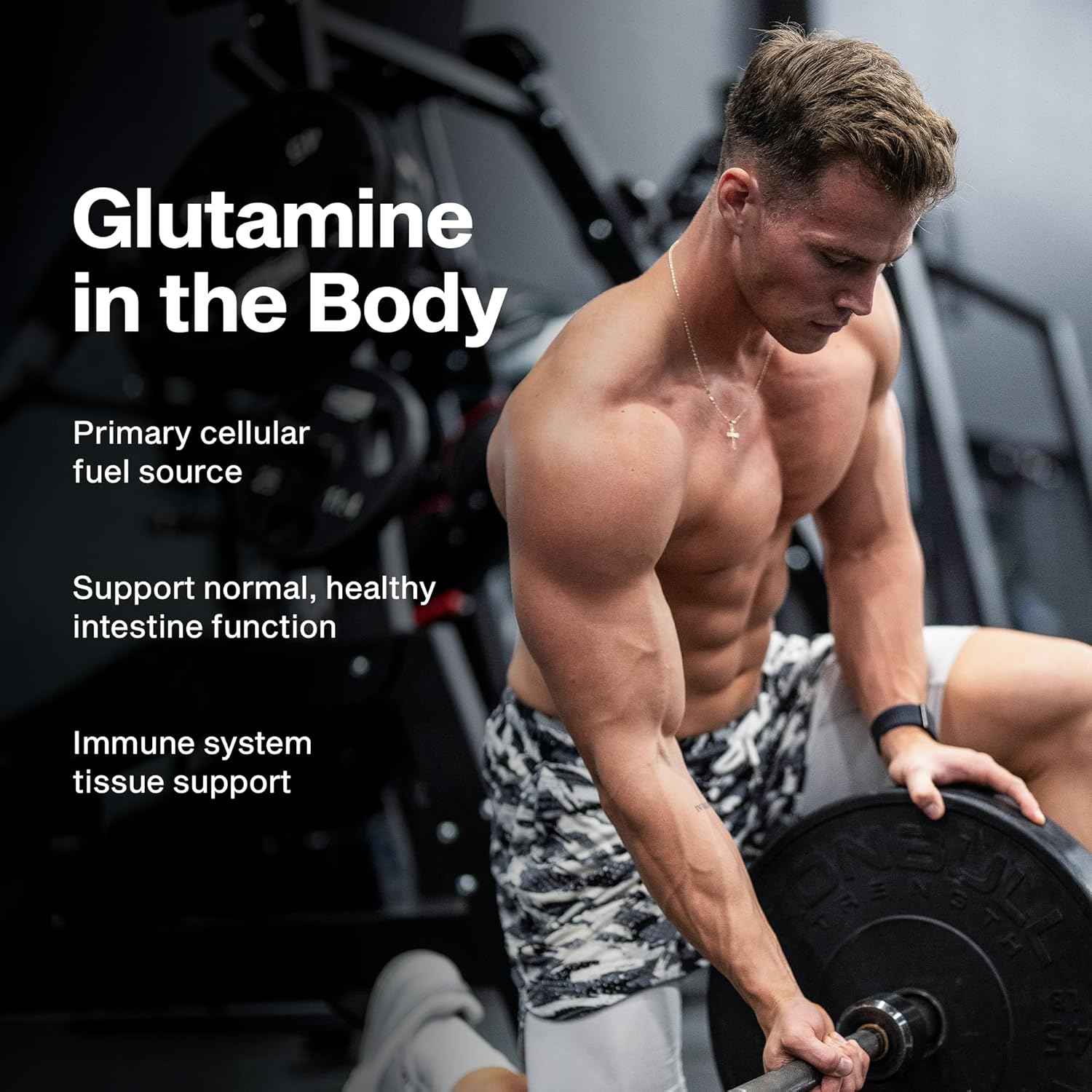 MuscleTech Glutamine Powder | 100% Pure L Glutamine Powder | Post Workout Recovery Drink | L-Glutamine Powder for Men & Women | Muscle Recovery | Unflavored (60 Servings)