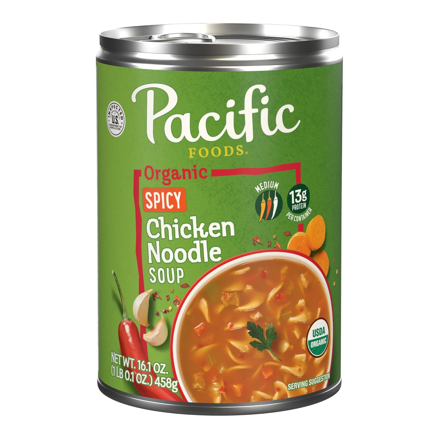 Spicy Chicken Noodle - 16.1 Ounce (Pack of 1)