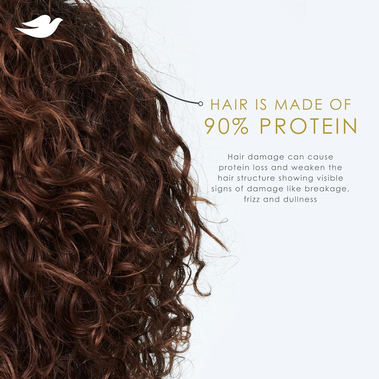 Dove_Conditioner_Coconut_&_Hydration_for_Dry_Hair_with_Bio-Protein_Care_Technology_and_Coconut_Oil_28_Fl_Oz