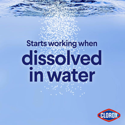 Clorox_Concentrated_Bleach_Powder,_21.1_oz
