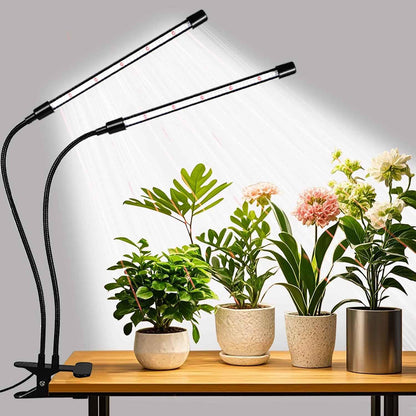 Domus Botanix Grow Light – Focus-Boosting Desk Companion for Home Office Plant Care