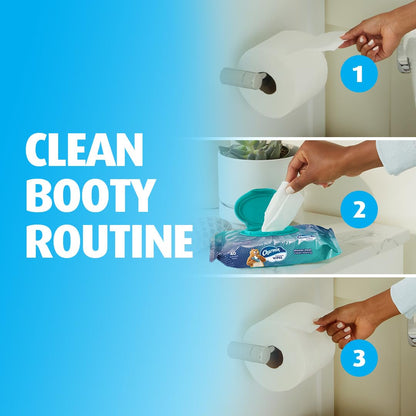 Charmin_Flushable_Wipes,_,_40_Wipes_(Pack_of_4),_160_Total_Wipes