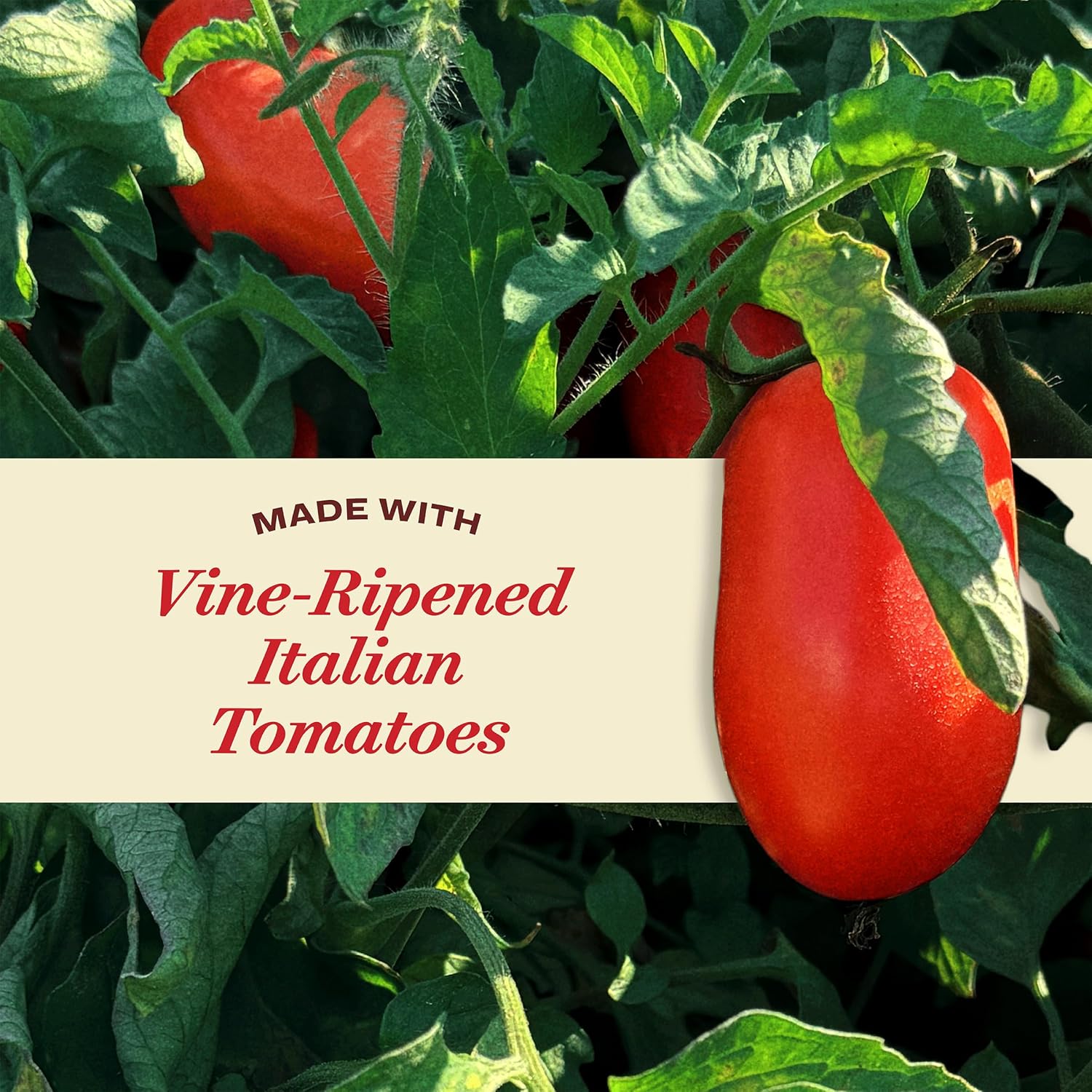 Rao's_Homemade_Creamy_Marinara_Sauce_with_Mascarpone,_24_oz,_Tomato_Sauce,_All_Purpose,_Premium_Quality,_Tomatoes_from_Italy_and_Olive_Oil
