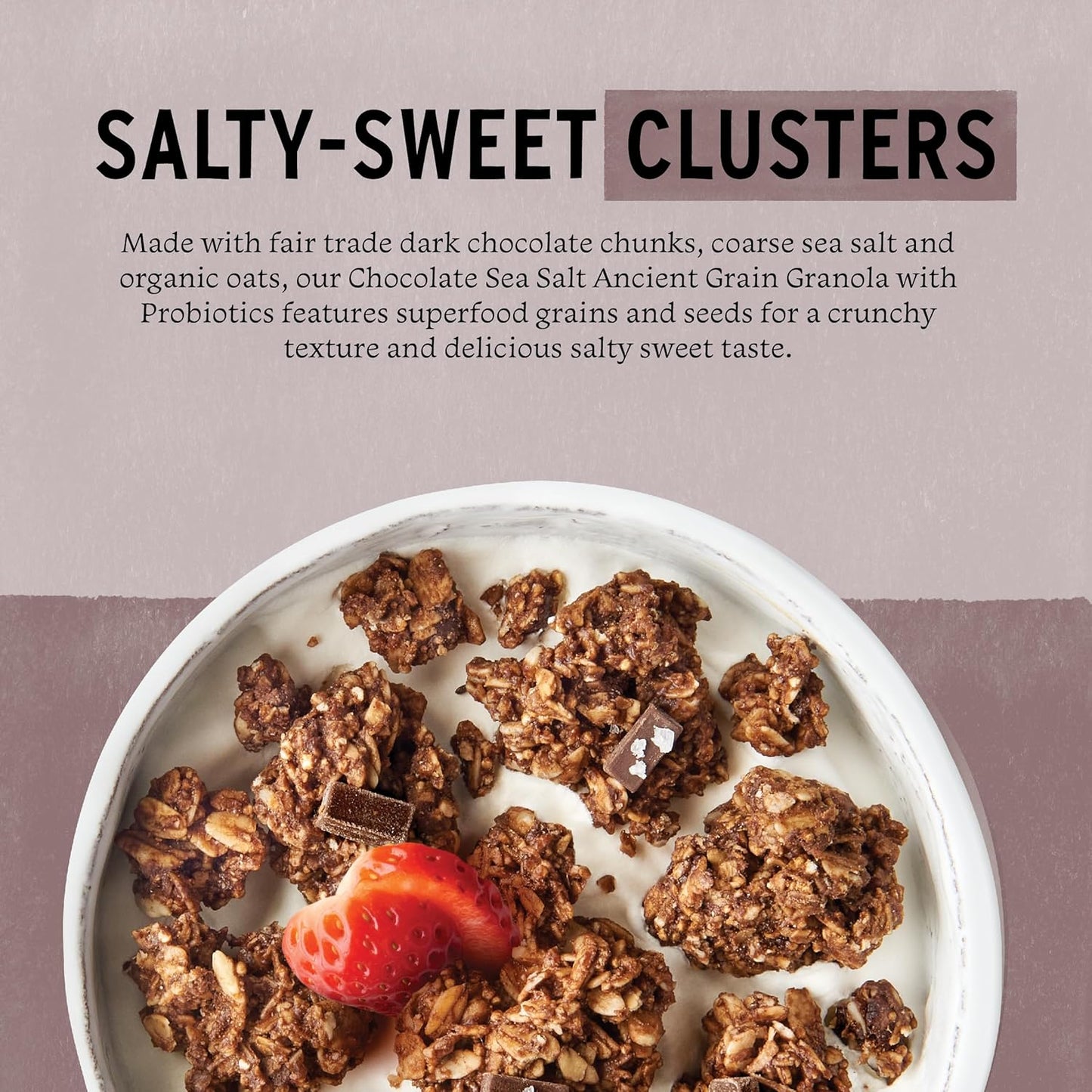 Purely_Elizabeth,_Chocolate_Sea_Salt,_Ancient_Grain_Granola_with_Probiotics,_Gluten-Free,_8_Ounce_(Pack_of_3)