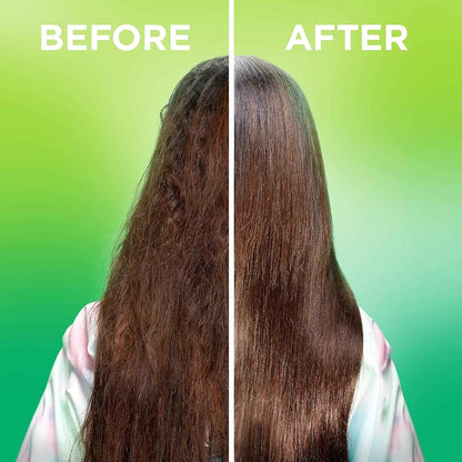 Garnier Fructis Sleek & Shine Moroccan Sleek Smoothing Oil for Frizzy, Dry Hair