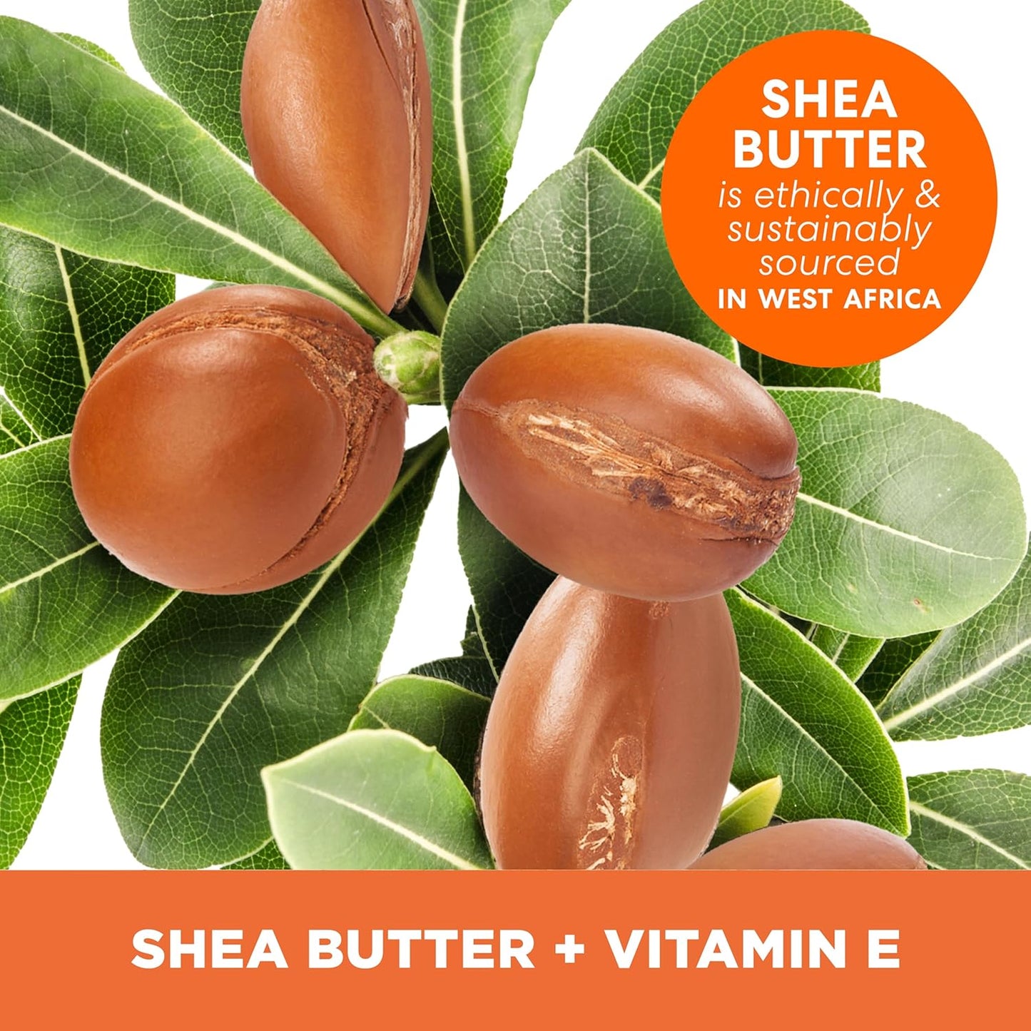 Palmer's_Shea_Butter_Formula_Raw_African_Shea_Butter_Balm,_Nourishing_Body_Moisturizer_for_Rough,_Dry_Skin,_7.25_Ounces
