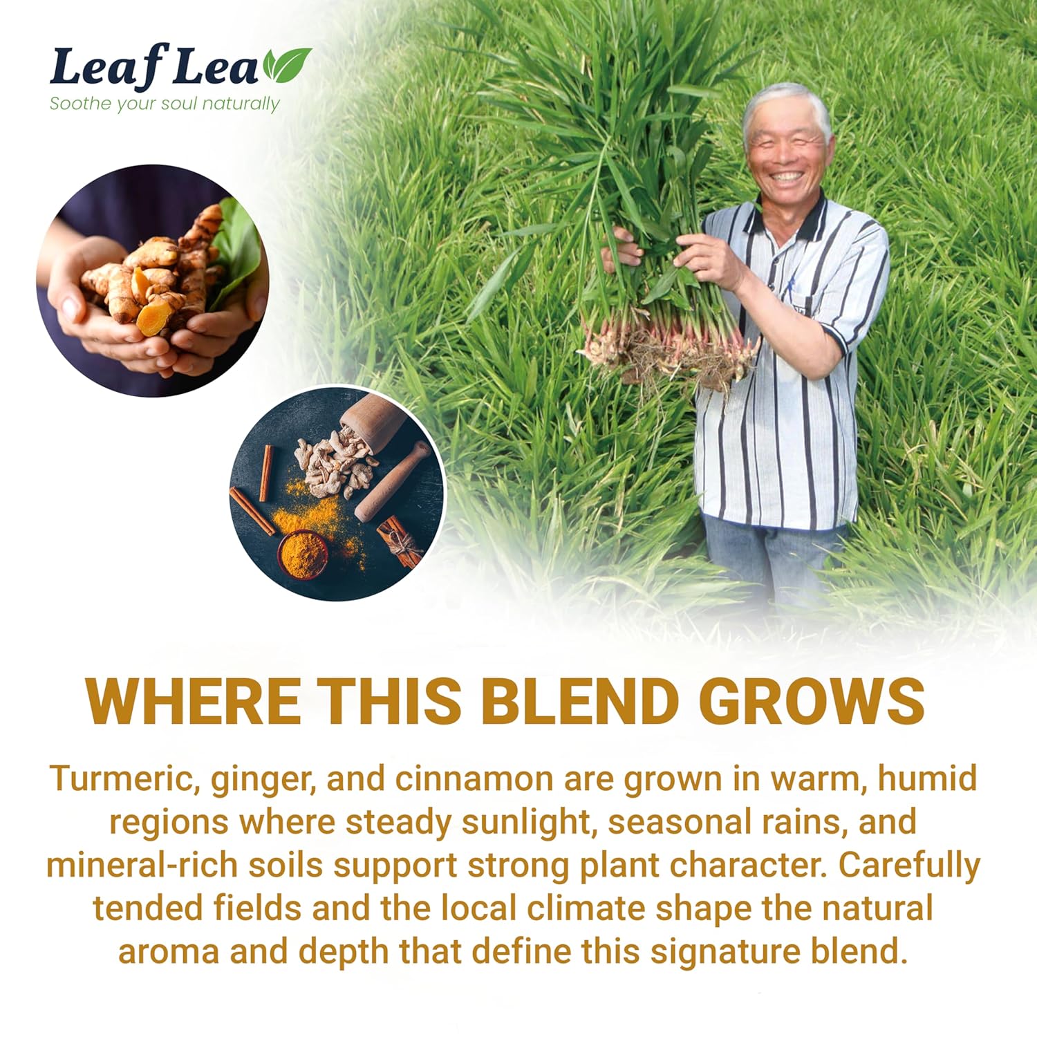 LeafLea_40_Turmeric_Ginger_Cinnamon_Tea_Bags,_100%_Natural_Ingredients_Herbal_Tea,_Turmeric_Ginger_Herbal_Blend_for_Wellness,_Vegan,_No_Sugar,_Caffeine-Free,_Individually_Wrapped_for_Freshness
