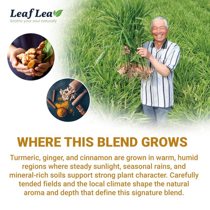 LeafLea_40_Turmeric_Ginger_Cinnamon_Tea_Bags,_100%_Natural_Ingredients_Herbal_Tea,_Turmeric_Ginger_Herbal_Blend_for_Wellness,_Vegan,_No_Sugar,_Caffeine-Free,_Individually_Wrapped_for_Freshness