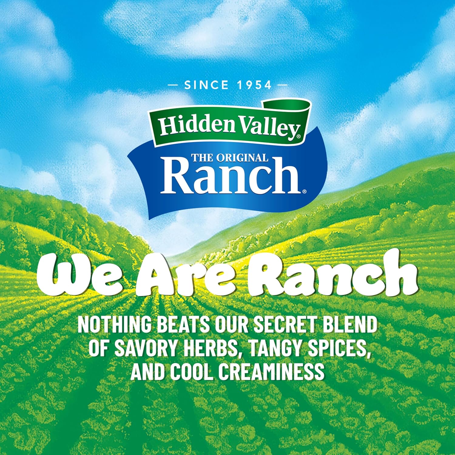 Hidden_Valley_Original_Ranch_Seasoning,_Dressing_and_Dip_Mix,_8_Ounces_(Package_May_Vary)