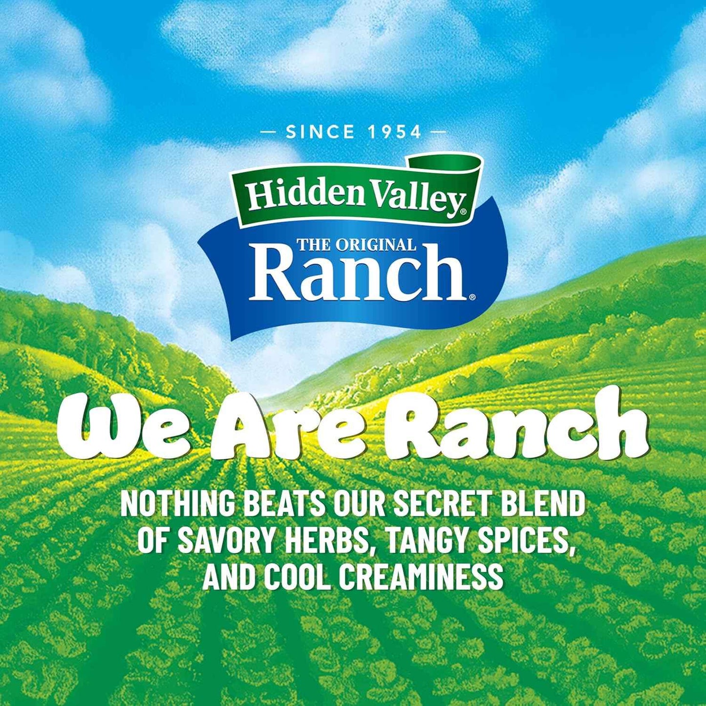Hidden Valley Easy Squeeze Original Ranch Salad Dressing and Topping, 20 Ounce Bottle (Package May Vary)
