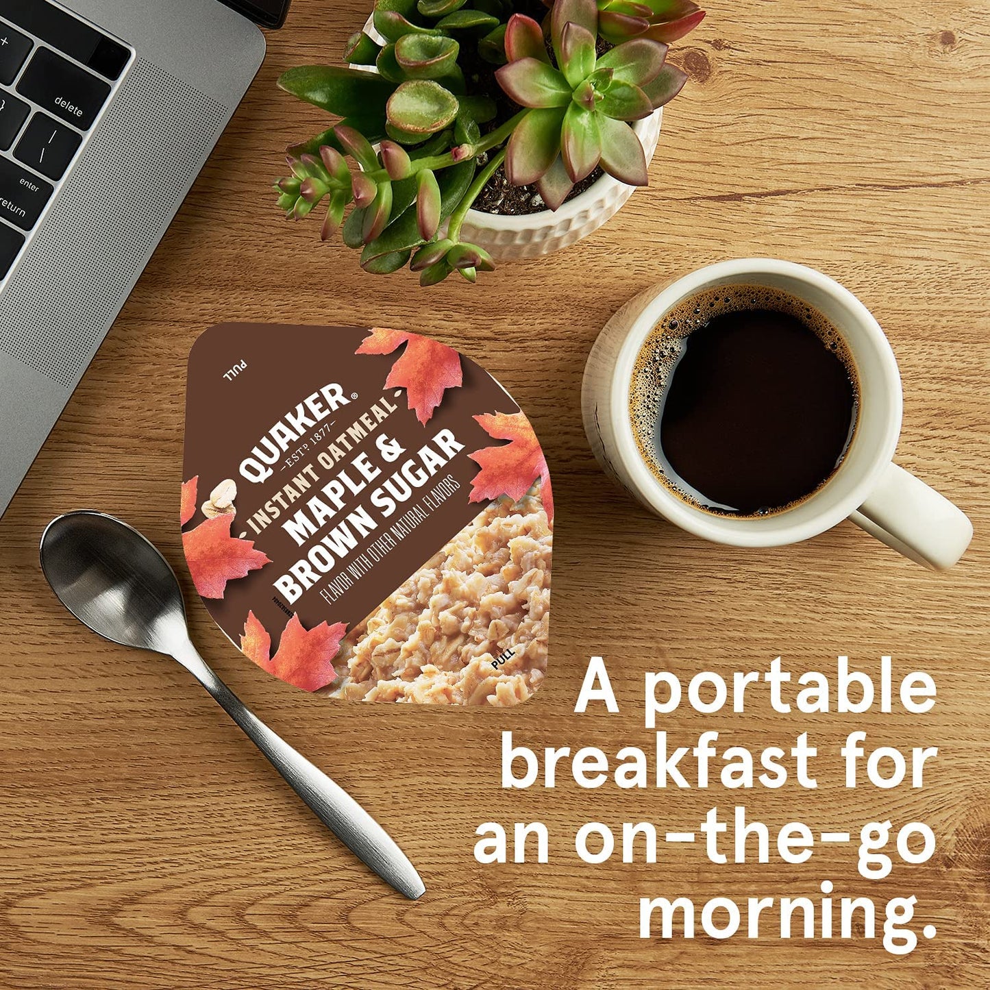 Quaker_Instant_Oatmeal_Express_Cups,_4_Flavor_Variety_Pack,_1.76_Ounce_(Pack_of_12)