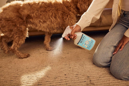 Mrs._MEYER'S_CLEAN_DAY_Pet_Stain_&_Odor_Fighter,_Coconut_Leaf_Scent,_16oz