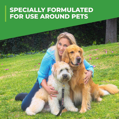 Simple_Green_Outdoor_Odor_Eliminator_for_Pets,_Dogs,_Ideal_for_Artificial_Grass_&_Patio_(32_oz_Hose_End_Sprayer_&_1_Gallon_Refill)