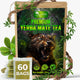 Yerba Mate - 60 Bags