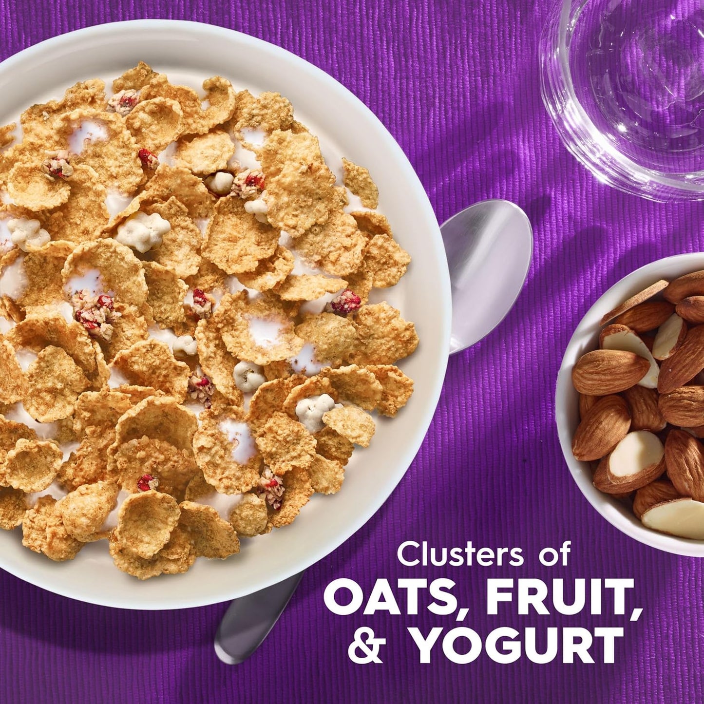 Kellogg's_Special_K_Breakfast_Cereal,_Family_Breakfast,_Fiber_Cereal,_Giant_Size,_Fruit_and_Yogurt,_22oz_Box_(1_Box)