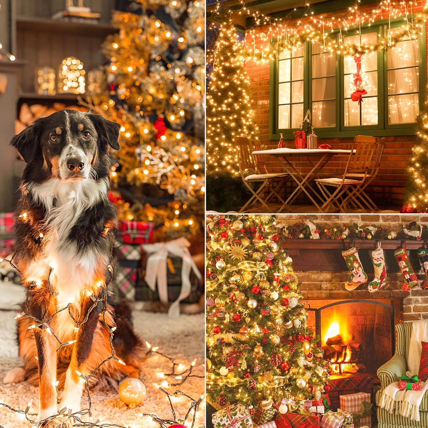 YOUNGAR_13FT_50_Clear_Christmas_Lights_Outdoor,_Approved_Christmas_Tree_Lights_with_Brown_Wire,_Incandescent_Mini_Light_Plug_in_for_Indoor_Outdoor_Tree_Patio_Garden_Xmas_Decor