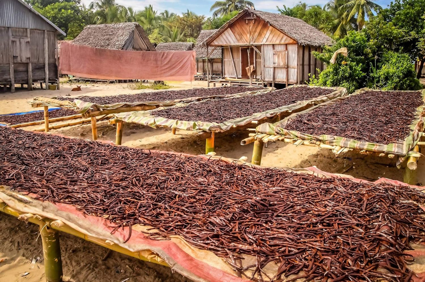 10_Vanilla_Beans_-_Whole_Extract_Grade_B_Pods_for_Baking,_Homemade_Extract,_Brewing,_Coffee,_Cooking_-_Tahitian