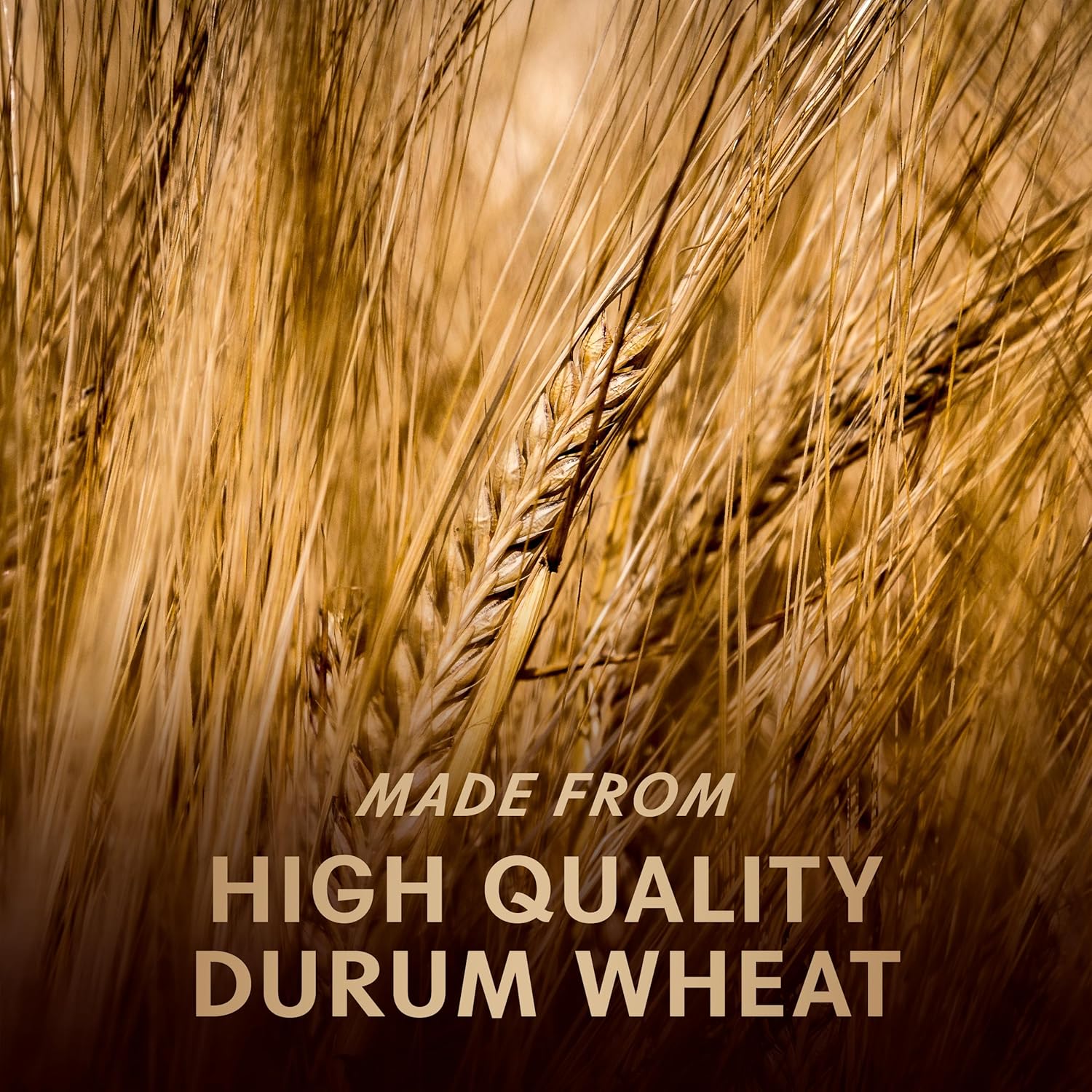 Barilla_Al_Bronzo_Spaghetti_Pasta_(1_lb),_Bronze_Cut_Pasta_Created_from_High_Quality_Durum_Wheat,_Imported_from_Italy,_Non-GMO,_Kosher