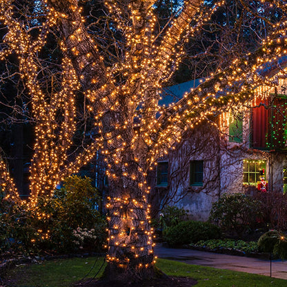 Christmas_Lights_Mini_Clear_Lights_21ft/32ft_White_Wire_Christmas_Tree_String_Lights_Set_for_Outdoor_Indoor_Christmas_Decorations_Wedding_Decorations_Valentines_Day_Decor,UL_Certified