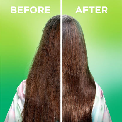 Garnier_Fructis_Sleek_&_Shine_10-in-1_for_Frizzy,_Dry_Hair,_Plant_Keratin,_8.1_Fl_Oz,_1_Count_(Packaging_May_Vary)