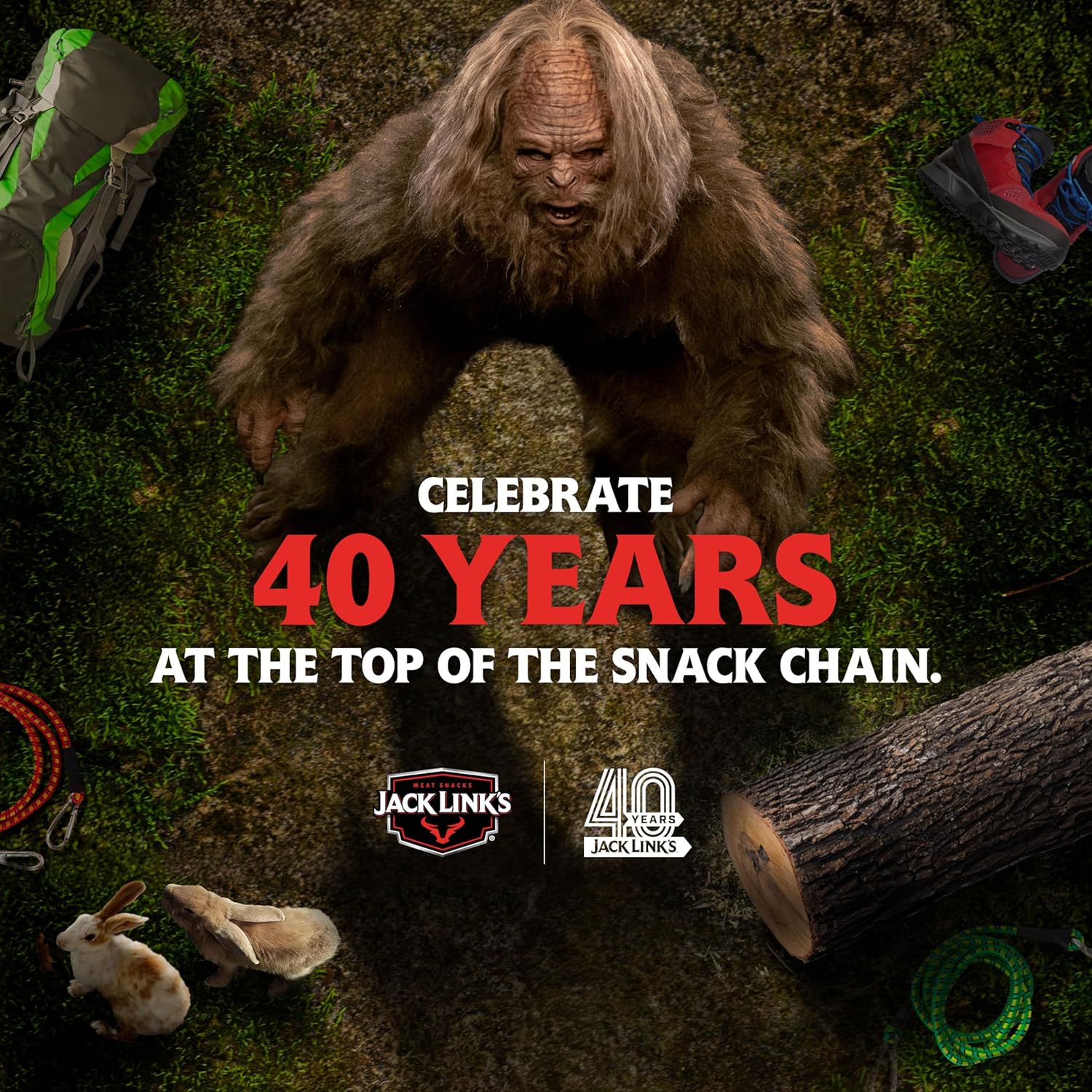 Jack_Link's_Beef_Jerky_Variety_Pack_-_Original_and_Teriyaki_-_(9_Pack)_1.25_oz_Bag_-_Ready_to_Eat_Protein_Snacks_-_13g_Protein_per_Serving_-_Made_with_100%_Real_Beef